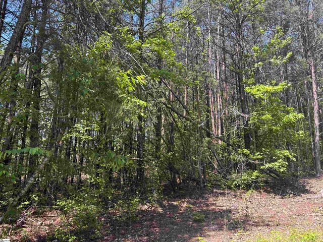 1940 Pleasant Hill Rd Lot B Lot 3-B, Greer, SC 29651