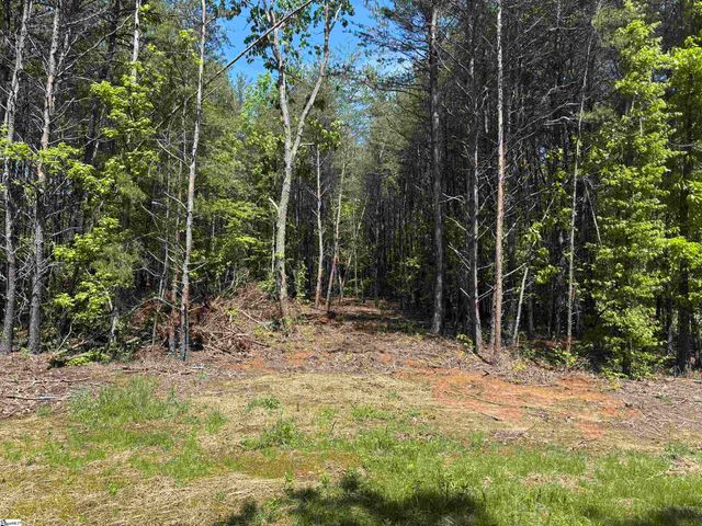 1940 Pleasant Hill Rd Lot B Lot 3-B, Greer, SC 29651
