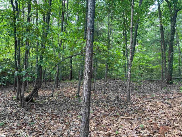 1940 Pleasant Hill Rd Lot B Lot 3-B, Greer, SC 29651