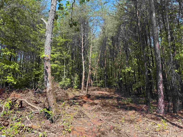 1940 Pleasant Hill Rd Lot B Lot 3-B, Greer, SC 29651