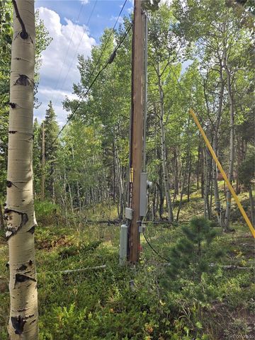 001 Tiber, Black Hawk, CO 80422