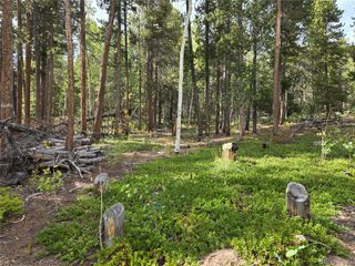 001 Tiber, Black Hawk, CO 80422