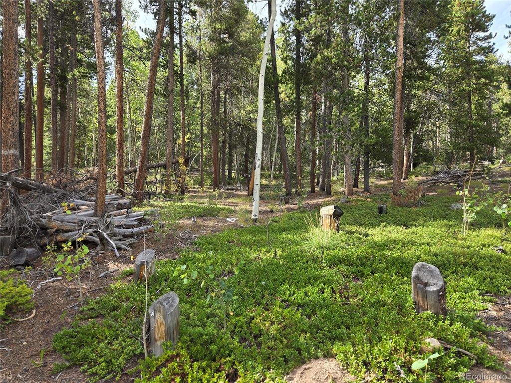 001 Tiber, Black Hawk, CO 80422