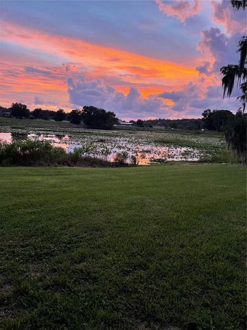 17520 BOY SCOUT ROAD, Odessa, FL 33556