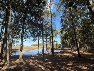 1210 Delapointe Drive, Gautier, MS 39553