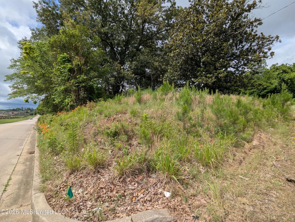 8755 Tchulahoma Road, Southaven, MS 38671 — exterior