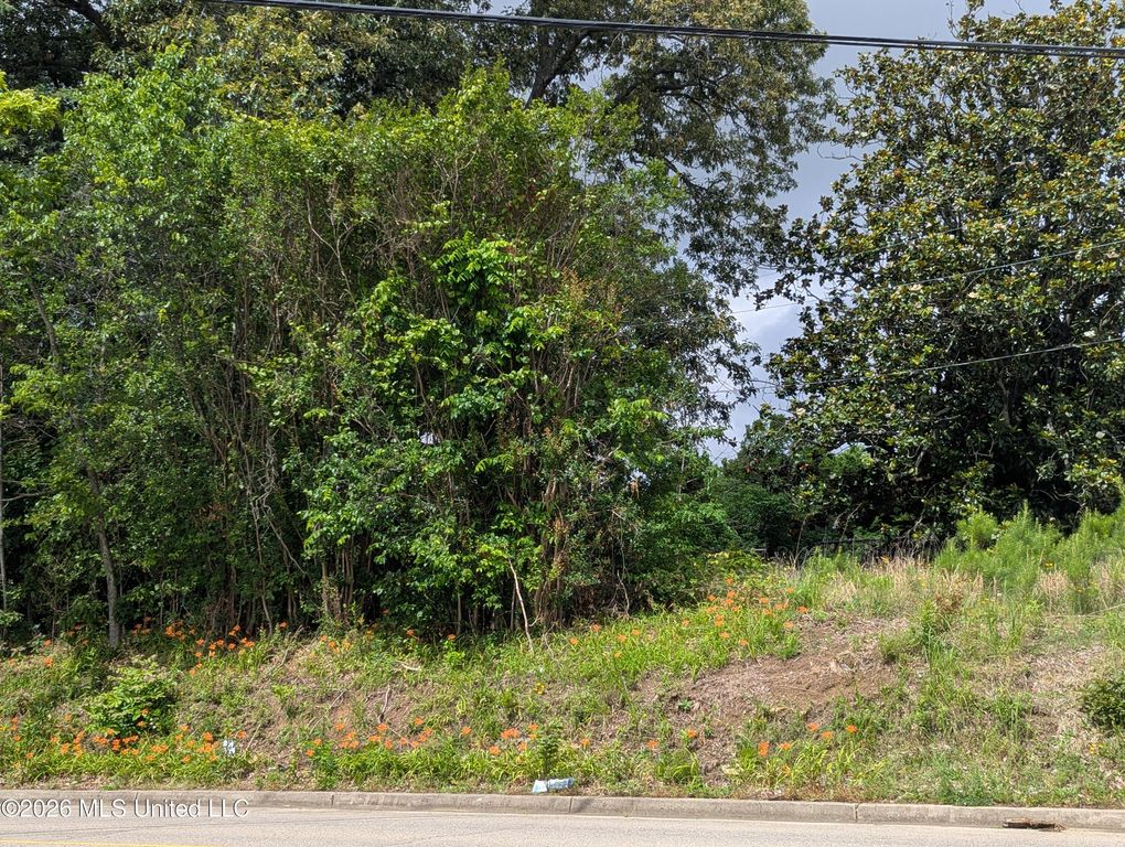 8755 Tchulahoma Road, Southaven, MS 38671 — photo 2