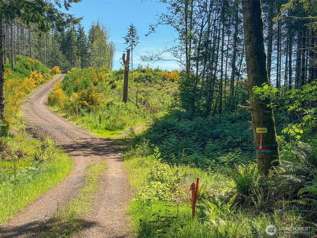 1 xxx Andy Cooper Road, Port Ludlow, WA 98365
