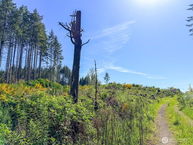 1 xxx Andy Cooper Road, Port Ludlow, WA 98365