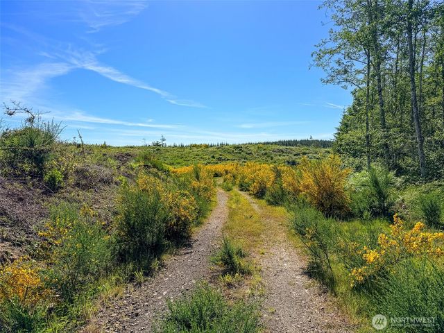 1 xxx Andy Cooper Road, Port Ludlow, WA 98365