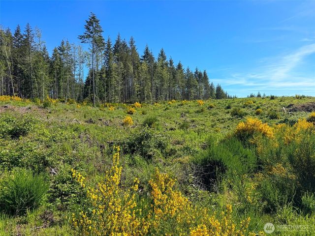 1 xxx Andy Cooper Road, Port Ludlow, WA 98365