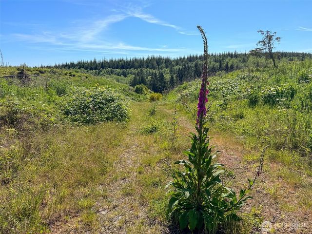 1 xxx Andy Cooper Road, Port Ludlow, WA 98365
