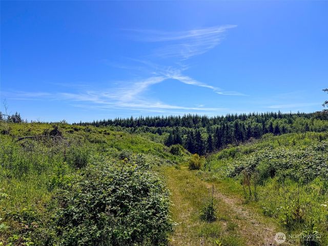 1 xxx Andy Cooper Road, Port Ludlow, WA 98365