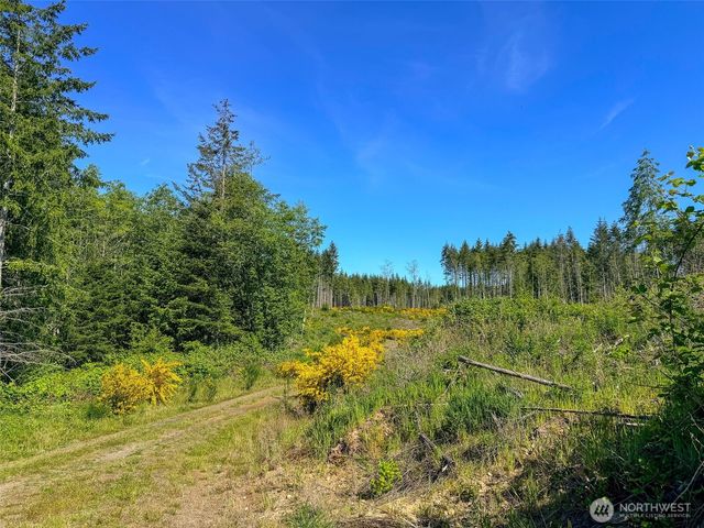 1 xxx Andy Cooper Road, Port Ludlow, WA 98365
