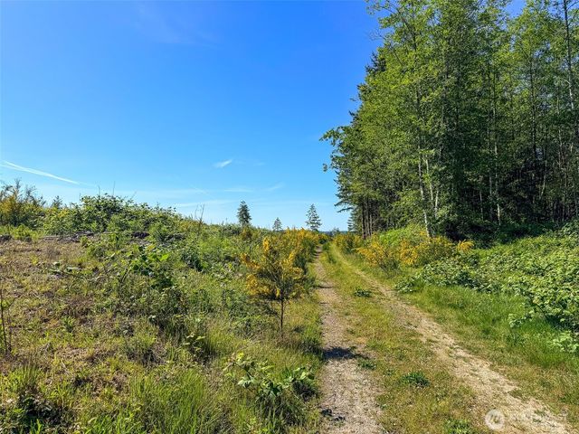 1 xxx Andy Cooper Road, Port Ludlow, WA 98365