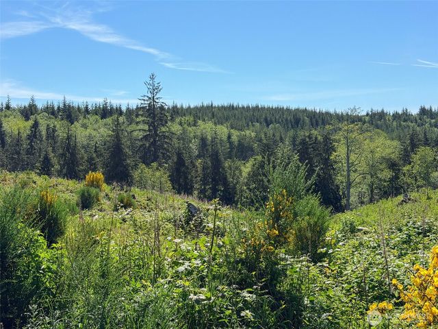 1 xxx Andy Cooper Road, Port Ludlow, WA 98365