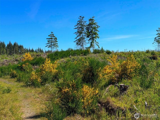 1 xxx Andy Cooper Road, Port Ludlow, WA 98365