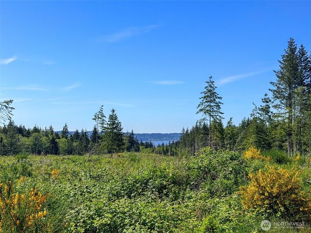 1 xxx Andy Cooper Road, Port Ludlow, WA 98365
