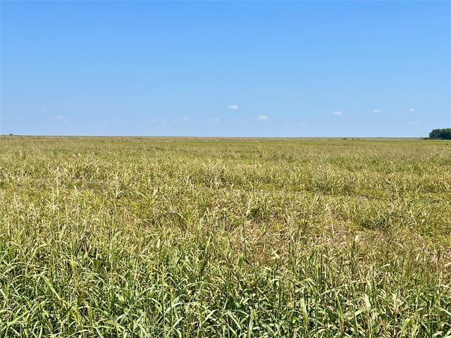 TBD 105 acres Dale Acres Road, Milford, TX 76670