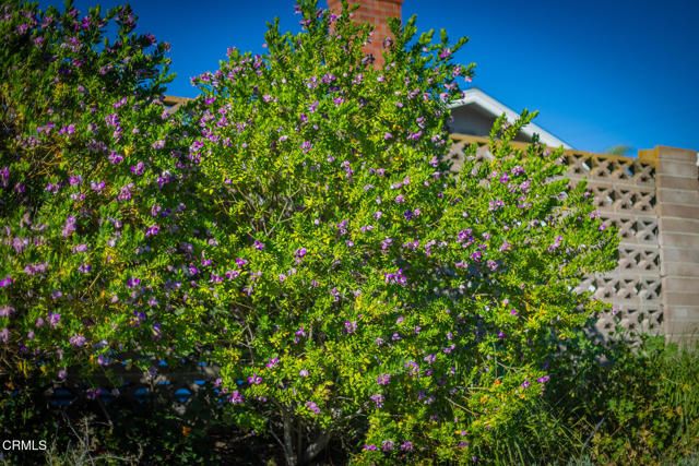 75 Maxine Avenue, Oak View, CA 93022