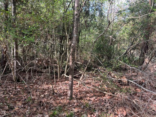 TBD Idlewild Drive, Onalaska, TX 77360