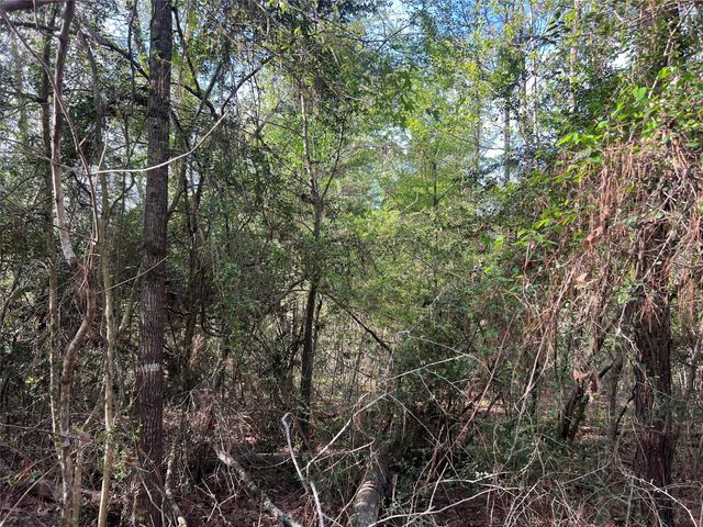 TBD Idlewild Drive, Onalaska, TX 77360