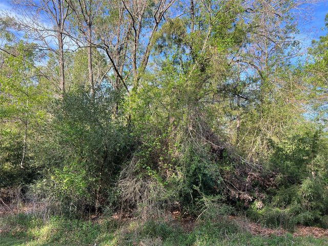 TBD Idlewild Drive, Onalaska, TX 77360