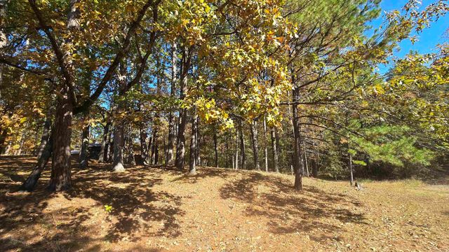 5225 Burnt Ridge Road, Shirley, AR 72153