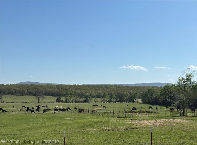 1900 Bottom Fork Road, Mansfield, AR 72944