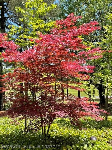 1900 Bottom Fork Road, Mansfield, AR 72944