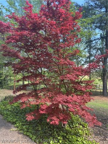 1900 Bottom Fork Road, Mansfield, AR 72944