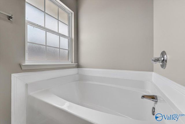 188 Amsterdam Place, Madison, AL 35758