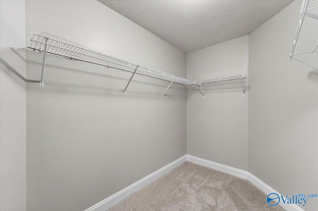 188 Amsterdam Place, Madison, AL 35758