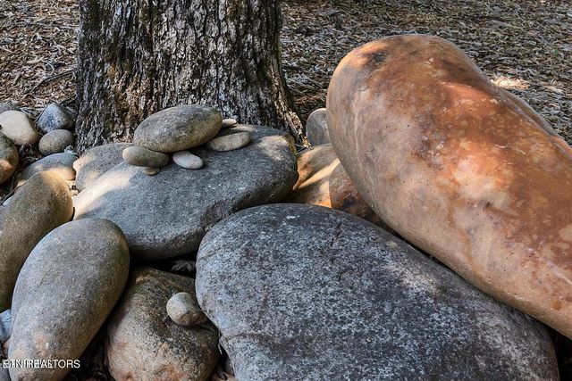 4209 Lake Meadow Way, Louisville, TN 37777