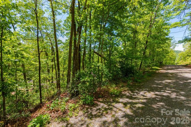 99999 Meeks Road, Black Mountain, NC 28711