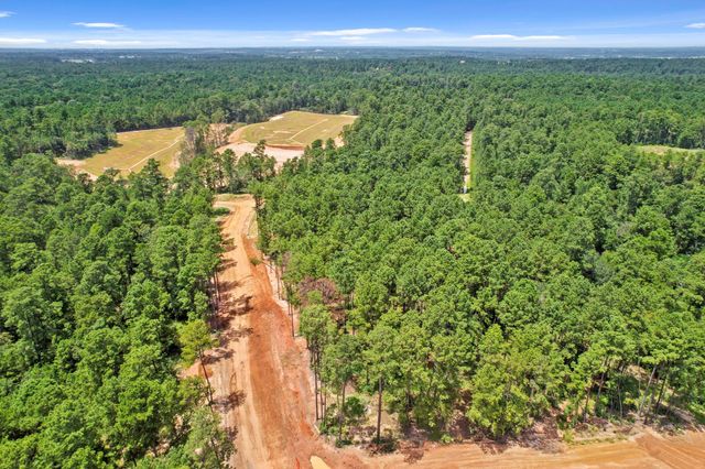 4041 Augusta Drive, Montgomery, TX 77316