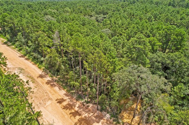 4041 Augusta Drive, Montgomery, TX 77316