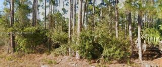 26442 Scham Road, Punta Gorda, FL 33955
