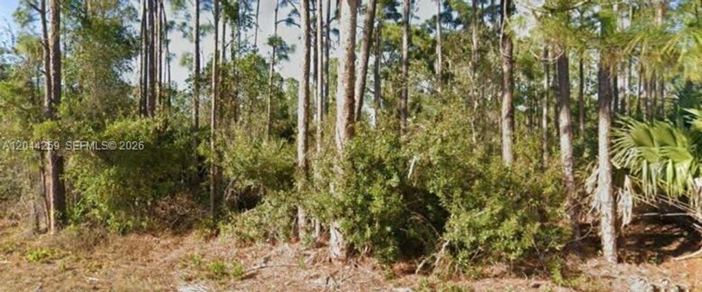 26442 Scham Road, Punta Gorda, FL 33955