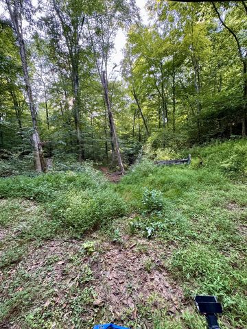 1380A Cheatham Dam Rd, Ashland City, TN 37015