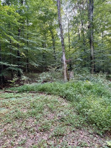 1380A Cheatham Dam Rd, Ashland City, TN 37015