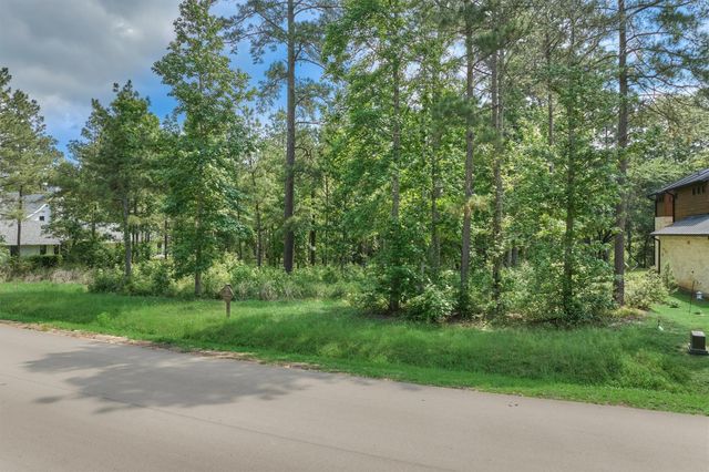 4490 Lily Bean Rd, Montgomery, TX 77316