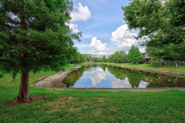 17280 OLD TOBACCO ROAD, Lutz, FL 33558
