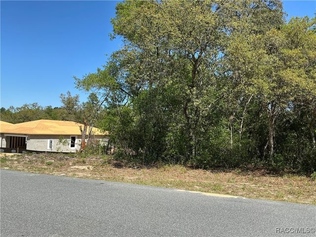 2924 W Camilo Drive, Citrus Springs, FL 34434