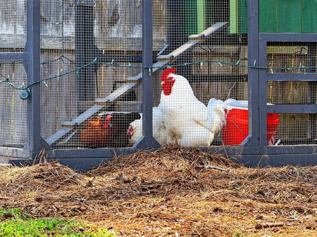 7389 Commodore Road, Hollywood, SC 29449