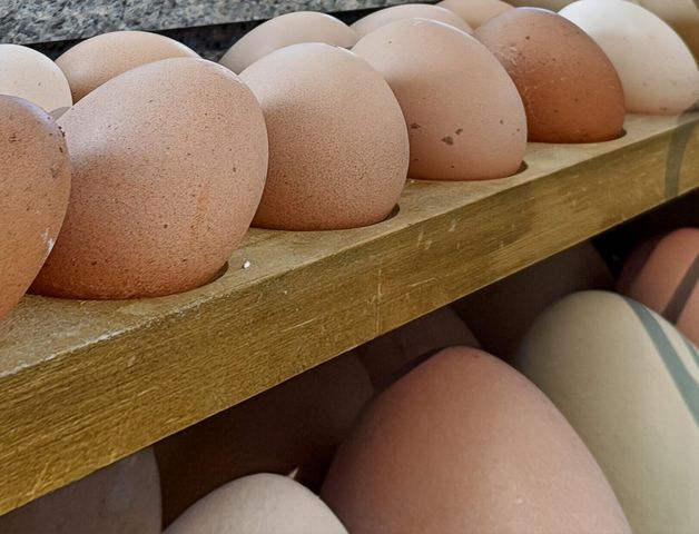 7389 Commodore Road, Hollywood, SC 29449