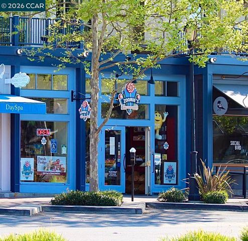 1000 Dewing Ave 210, Lafayette, CA 94549