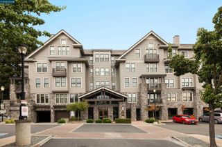 1000 Dewing Ave 210, Lafayette, CA 94549