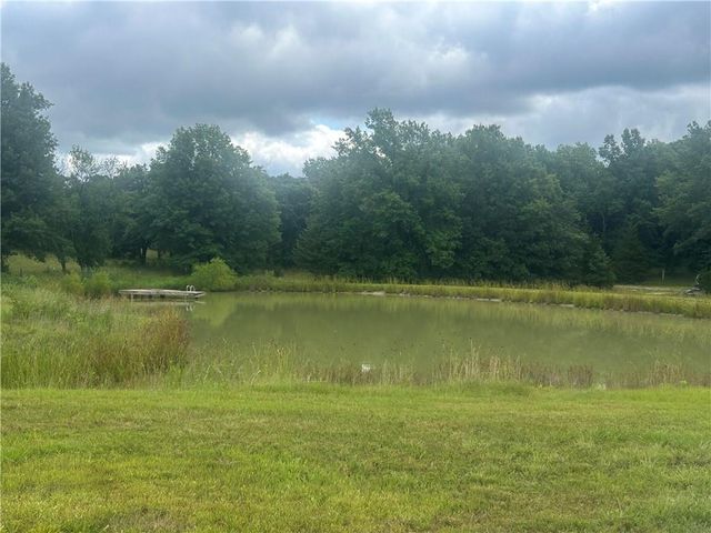 5298 Chihuahua Road, Higginsville, MO 64037