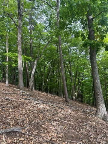 Lot 4 Hampton Knob, Murphy, NC 28906